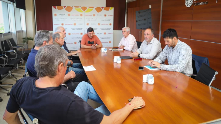 Ante una cosecha que se prevé será escasa, entidades vitivinícolas y Gobierno diagraman medidas