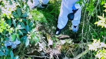 Crimen de Daiana Mendieta: así es el descampado donde encontraron muerta a la joven