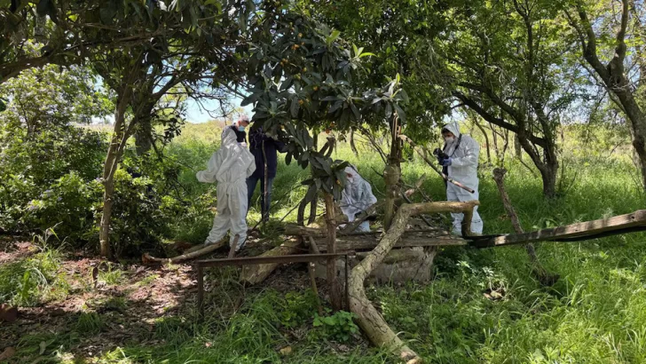 QACF7TRPTJGPHIBTKMBI75AAB4-728x410 QACF7TRPTJGPHIBTKMBI75AAB4-728x410