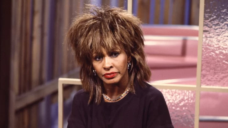 ¡Qué feíta!: la estatua en homenaje a Tina Turner que desató la polémica