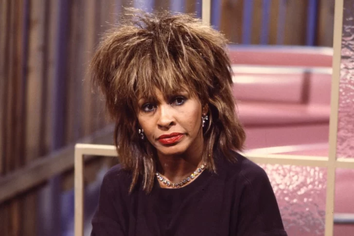¡Qué feíta!: la estatua en homenaje a Tina Turner que desató la polémica