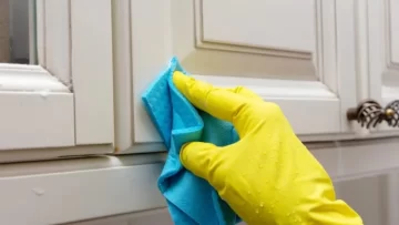 VINAGRE-ACEITE-LIMPIADOR-728x410