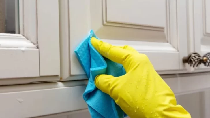 VINAGRE-ACEITE-LIMPIADOR-728x410