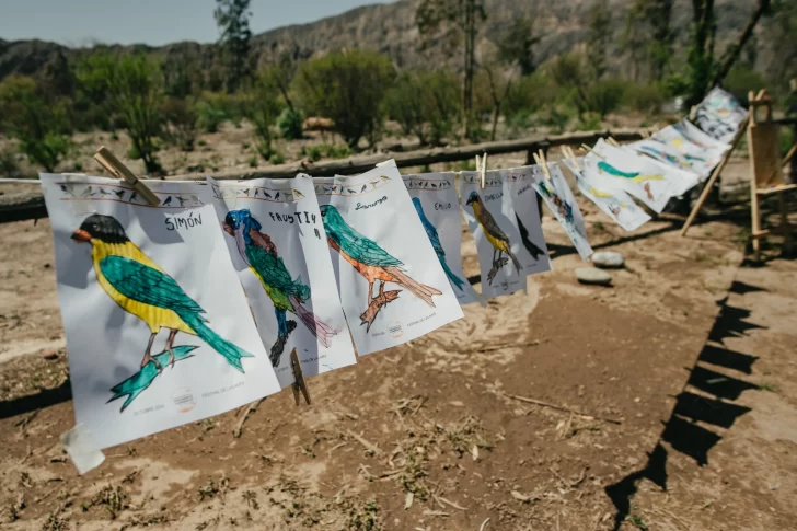 Con una búsqueda del nido escondido y hasta concursos de dibujo y barriletes, realizarán la segunda edición del Festival de las aves