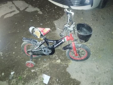 Dos menores intentaron robarse una bicicleta de niños en plena madrugada Dos menores intentaron robarse una bicicleta de niños en plena madrugada