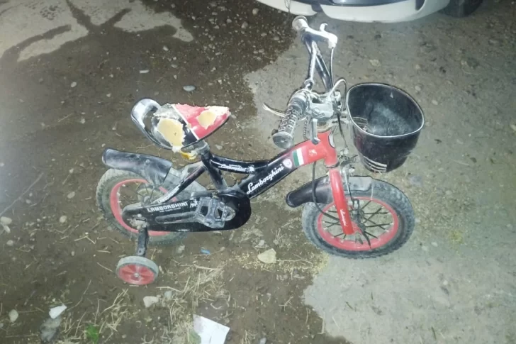 Dos menores intentaron robarse una bicicleta de niños en plena madrugada