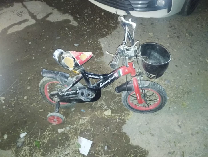 Dos menores intentaron robarse una bicicleta de niños en plena madrugada Dos menores intentaron robarse una bicicleta de niños en plena madrugada