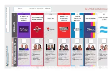 El fiscal descartó reimprimir las boletas en la Provincia de Buenos Aires para sacar a Espert