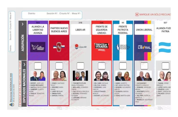 El fiscal descartó reimprimir las boletas en la Provincia de Buenos Aires para sacar a Espert