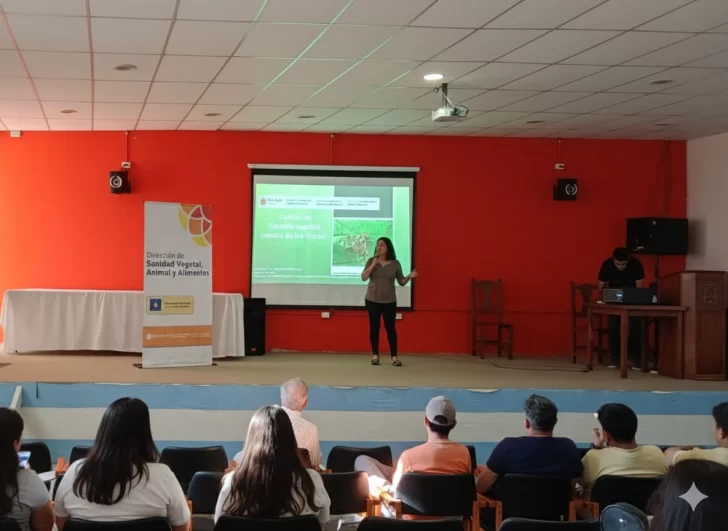 Lucha contra la mosca de los frutos: especialistas locales brindaron una charla en La Rioja