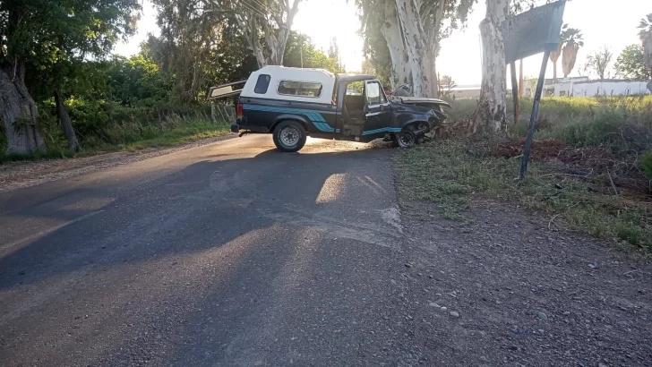 Manejaba borracho y se estrelló contra un eucalipto: tenía 2,32 gramos de alcohol en sangre Manejaba borracho y se estrelló contra un eucalipto: tenía 2,32 gramos de alcohol en sangre