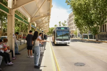 Las cuatro líneas de colectivos que llegan a la nueva sede de la Dirección de Discapacidad