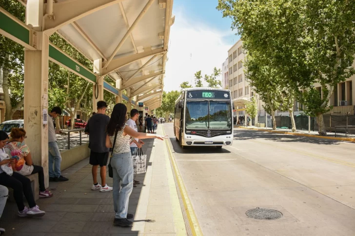 Las cuatro líneas de colectivos que llegan a la nueva sede de la Dirección de Discapacidad