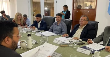 Renunció un concejal del peronismo de Rivadavia por un acuerdo político: la razón