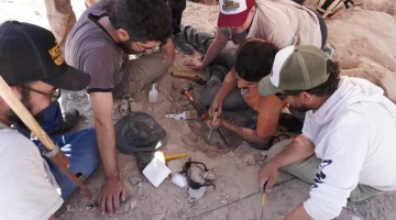 El nuevo streaming del CONICET en búsqueda de fósiles tendrá bajada sanjuanina