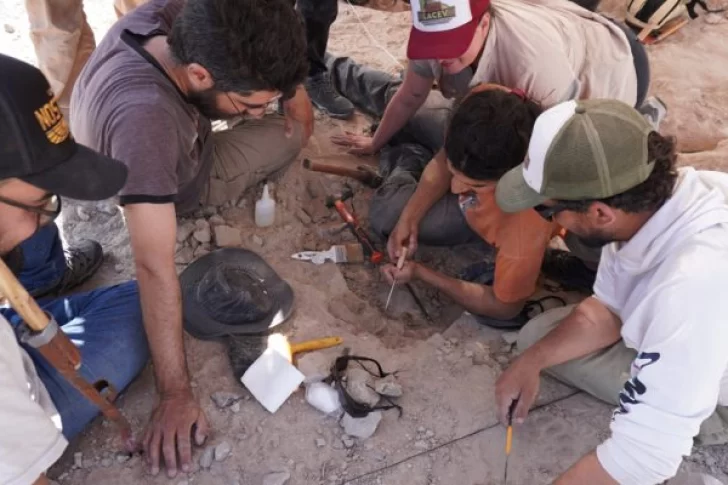 El nuevo streaming del CONICET en búsqueda de fósiles tendrá bajada sanjuanina