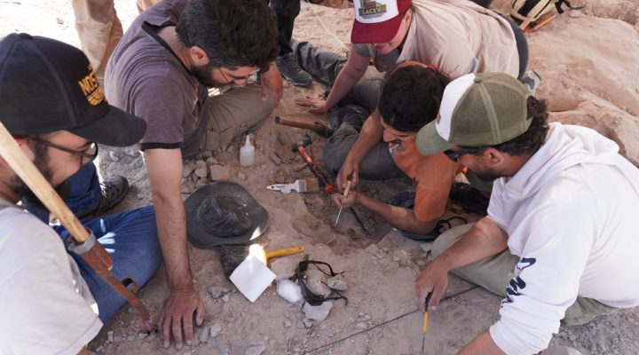 El nuevo streaming del CONICET en búsqueda de fósiles tendrá bajada sanjuanina