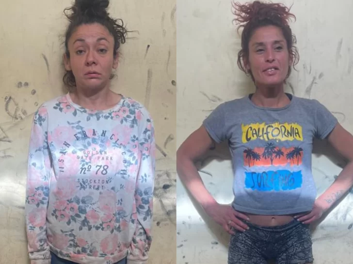 Dos mujeres atacaron a un jubilado que regaba en su casa y le robaron