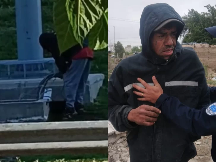 Detuvieron a un hombre que robó un tablero eléctrico de los paneles solares de la Circunvalación: determinaron que es inimputable Detuvieron a un hombre que robó un tablero eléctrico de los paneles solares de la Circunvalación: determinaron que es inimputable