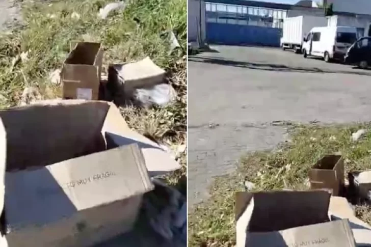 Hallan cuatro cajas repletas de cabezas de animales muertos y hay misterio: “Hay como diez cabezas de cabra y gallinas muertas”