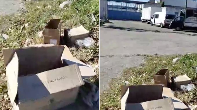 Hallan cuatro cajas repletas de cabezas de animales muertos y hay misterio: “Hay como diez cabezas de cabra y gallinas muertas” Hallan cuatro cajas repletas de cabezas de animales muertos y hay misterio: “Hay como diez cabezas de cabra y gallinas muertas”