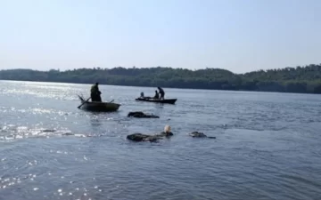 Desesperada búsqueda de Thiago Friederich que cayó al río