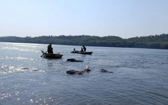 Desesperada búsqueda de Thiago Friederich que cayó al río
