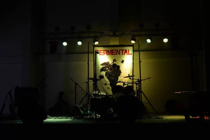 fermental3-728x485 fermental3-728x485