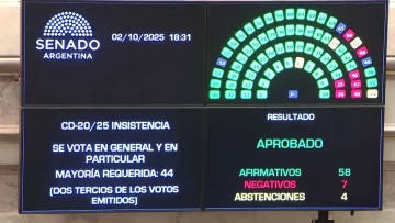 Otro revés para el Gobierno en el Senado: rechazaron los vetos de Milei al financiamiento del Garrahan y las universidades Otro revés para el Gobierno en el Senado: rechazaron los vetos de Milei al financiamiento del Garrahan y las universidades