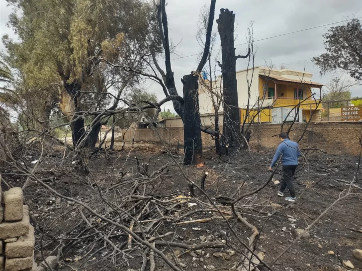 fuego3-728x545 fuego3-728x545