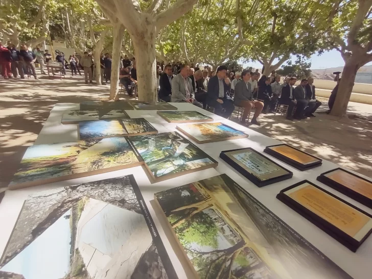 hd1-728x545 hd1-728x545