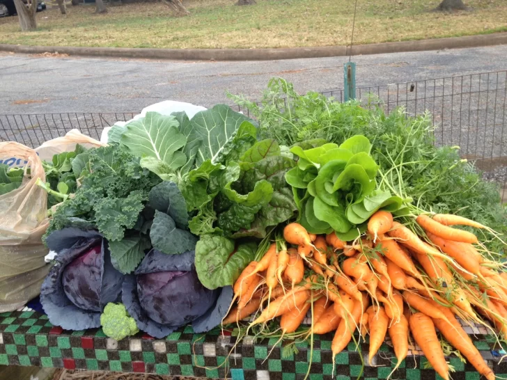 huerta-hortalizas-728x546 huerta-hortalizas-728x546