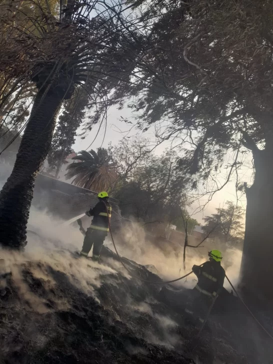 incendio-en-chinga-tu-madre2025-5-546x728