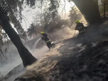 [FOTOS Y VIDEOS] Así quedó el lugar donde se originó el incendio en cercanía de Casa de Gobierno