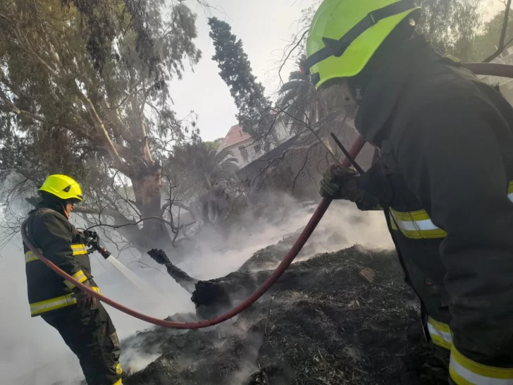 incendio-en-chinga-tu-madre2025-7-728x546