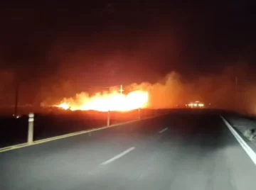 Un incendio de grandes dimensiones en Ruta 40, una de las 33 intervenciones que tuvo Bomberos por el viento Zonda