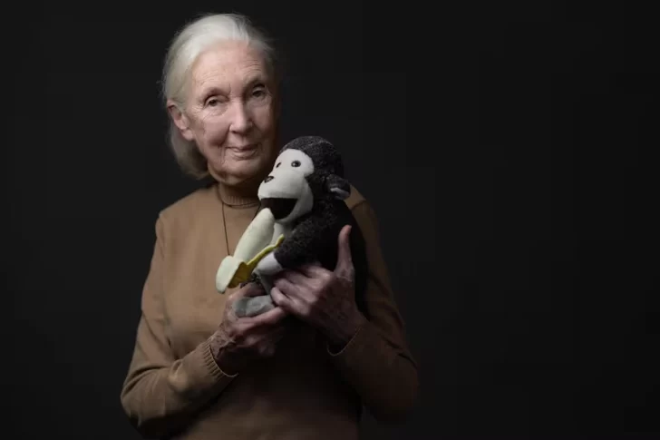 jane-goodall-728x485