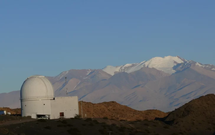 leoncito-728x456 leoncito-728x456