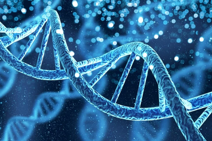 Por qué las mujeres viven más que los hombres