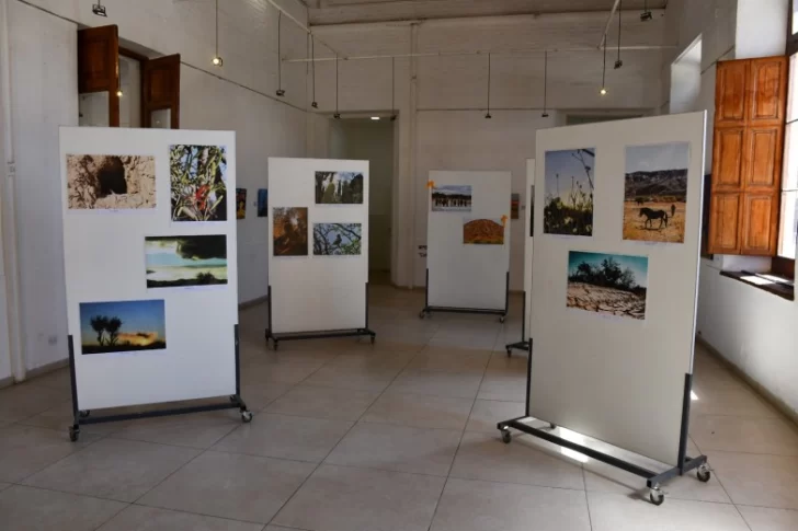 La muestra fotográfica ‘Bosques Nativos 2025’ ya se puede ver en el Anchipurac