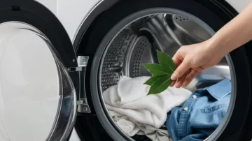 Ni suavizante ni perfume: el secreto natural del laurel para tu lavarropas