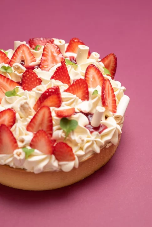 pastel-3-486x728 pastel-3-486x728