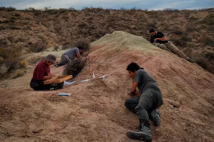 Después de mostrar el fondo del mar, el CONICET ahora transmite en vivo la búsqueda de fósiles de un nuevo dinosaurio