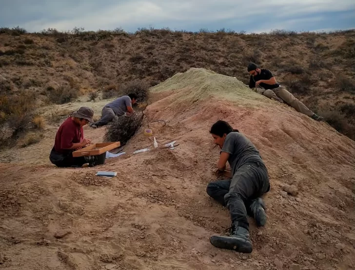 Después de mostrar el fondo del mar, el CONICET ahora transmite en vivo la búsqueda de fósiles de un nuevo dinosaurio