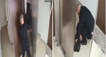 Dramático momento: un perro quedó colgado de un ascensor y un hombre lo reanimó Dramático momento: un perro quedó colgado de un ascensor y un hombre lo reanimó