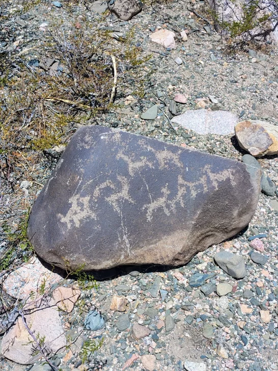 petro4-546x728 petro4-546x728