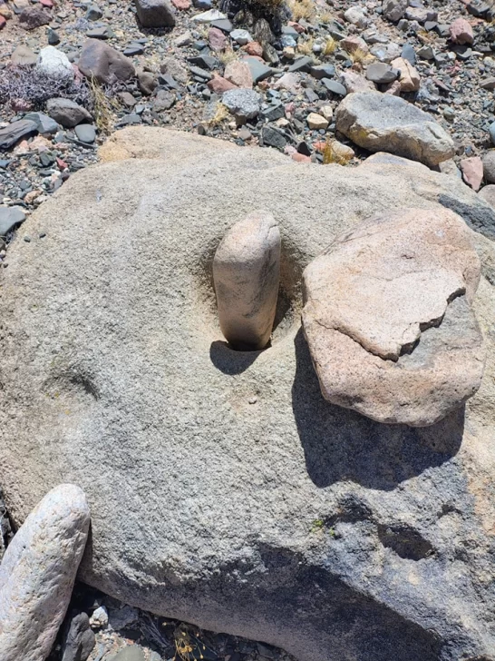 petro5-546x728 petro5-546x728