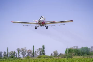 El lunes empieza la campaña para combatir la polilla de la vid, clave para la calidad de las uvas sanjuaninas