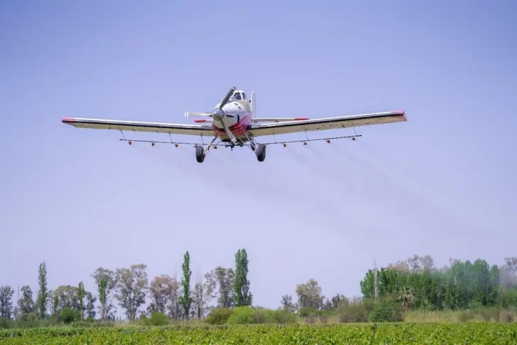 El lunes empieza la campaña para combatir la polilla de la vid, clave para la calidad de las uvas sanjuaninas