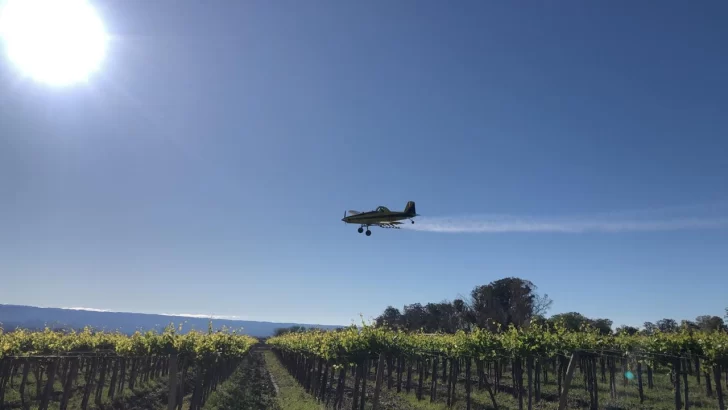 San Juan refuerza la lucha contra la polilla de la vid con nuevas aplicaciones aéreas en zonas vitivinícolas